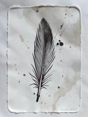 Monoprint of turkey feather, ink transfer creating delicate barb detail