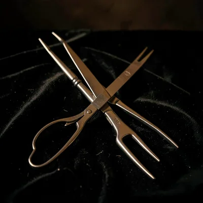 Crossed Instruments — Forceps and Retractor Still Life