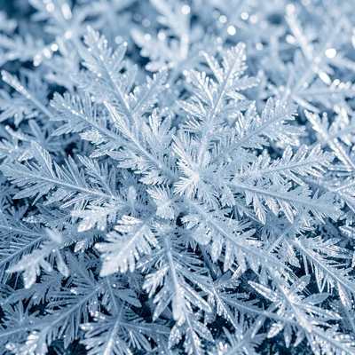 Ice crystal formation