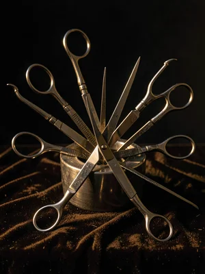 Instrument Bouquet — Fan of Scissors and Forceps