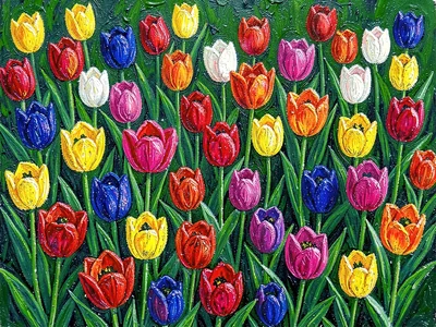 Garden of colorful tulips