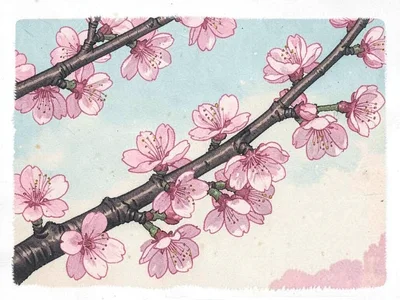 Cherry blossom branch
