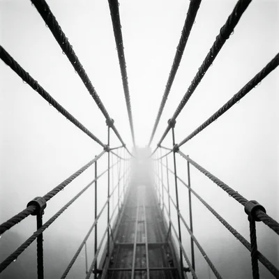 The steel cables of a suspension bridge converging toward a vanishing point in f