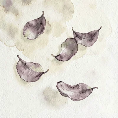Five drifting petals tumble across the canvas in dusty mauve against pale lemon,