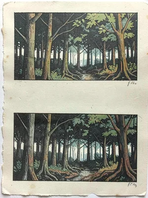 Dense forest scene — canopy, mid-tree trunks, and floor in three reduction passe