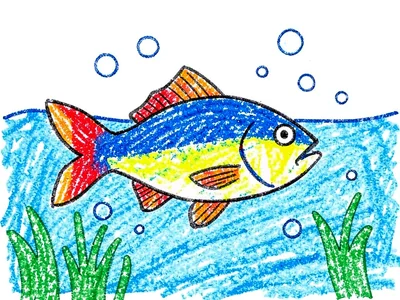 Fish swimming with bubbles