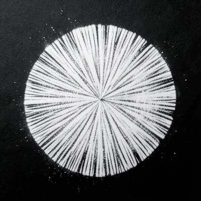 White spore print from Amanita on black paper, ghost-faint radial pattern visibl