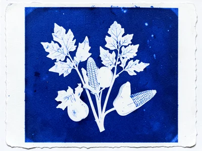 Cyanotype print of autumn harvest arrangement, squash and corn silhouettes in bl