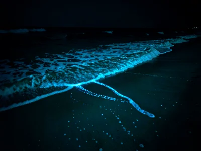 Wave retreating up shore — thin sheet of glowing water retreating across sand, l