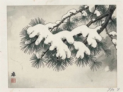 Snowy pine bough weighted down with fresh snow
