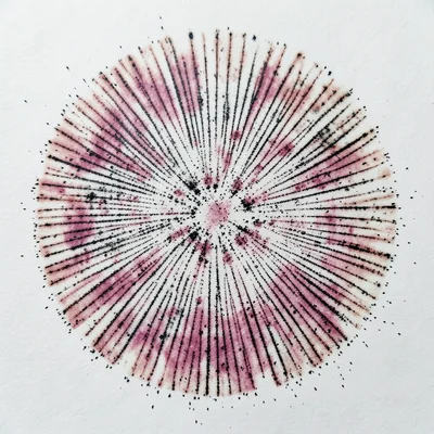 Spore print macro, individual spore clusters visible as granular texture in the 