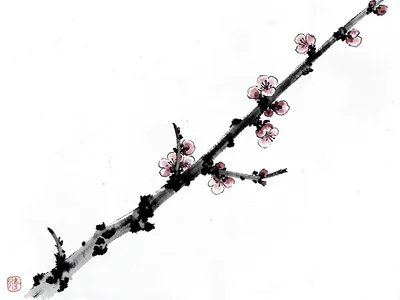 Plum branch with a few winter blossoms, strong diagonal across white paper