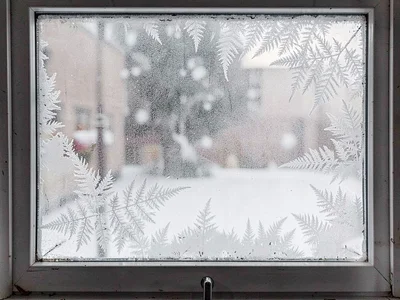 Window frost ferns reaching from edges