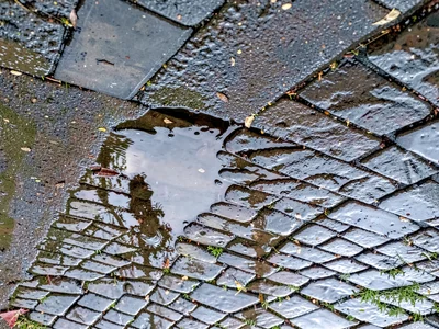 Bruno Reflexo