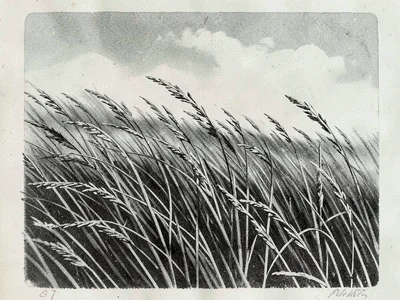 Grass bending in wind