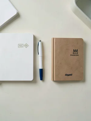 Hobonichi Midori Sailor Trio