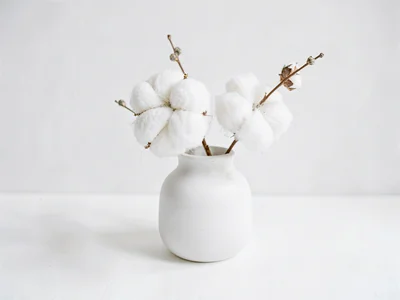 Cotton minimal white arrangement
