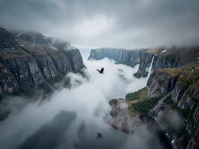 Eagle flying between mist layers