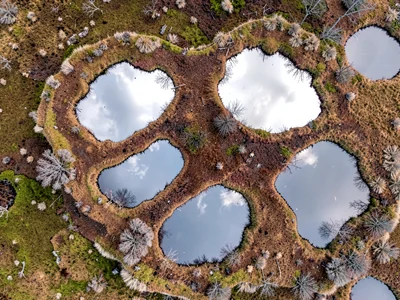 Peat bog pool pattern from directly above showing silver mirrors in brown