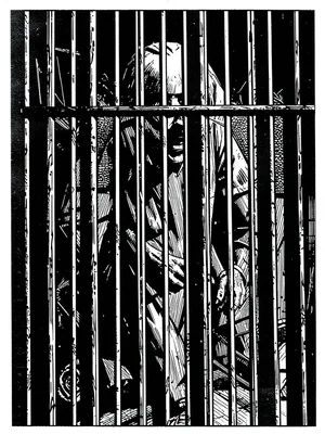 Prison gate as harsh vertical bars, figure standing behind