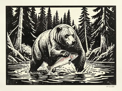 A grizzly bear standing in a river catching a salmon mid-leap, water splashing a