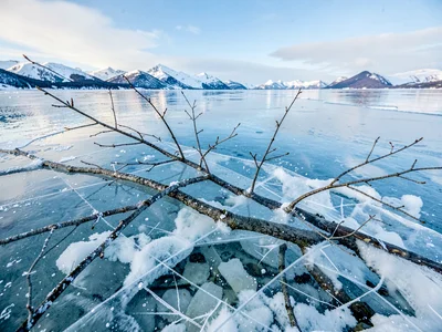 Perfectly clear ice allowing view of submerged branch