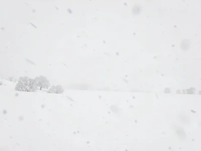 Snowfall creating texture in white