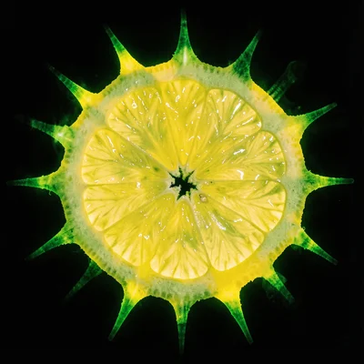 Lemon zest rendered as bright yellow sunburst with acid green edges