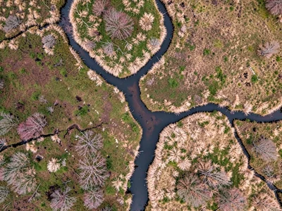 Natural drainage pattern creating branching dark channels