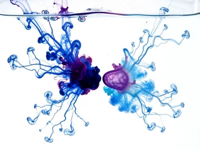 Two ink drops of different colors meeting, boundary zone where they push against