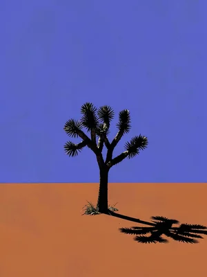 Joshua-tree-style spiny silhouette stands on a copper plain under a vast lapis s