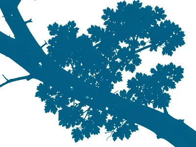 Branch silhouette cyan
