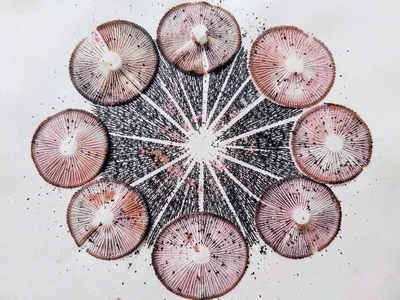 Dense overlapping prints from ten specimens of the same species, creating thick 