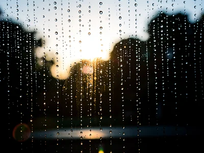 Rain shower backlit showing drop pattern