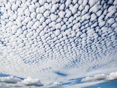 Altocumulus mackerel sky — a field of small regular cloud tufts covering the ent
