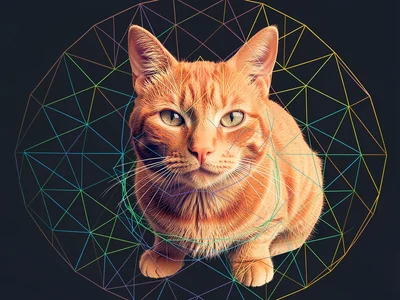 Generative art, geometric patterns, organge cat , algorithmic design, precise ma