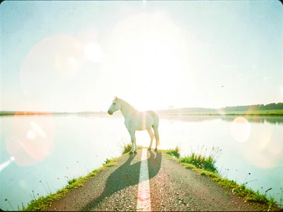 Mirror-flipped horizon with a country road running into the sky and a single whi