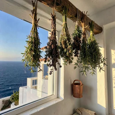 Mediterranean summer photograph, August dry heat, Dried herbs hanging in bunches