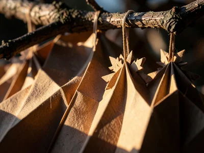 Paper-folded snowflake ornaments hanging from real tree branch, intricate