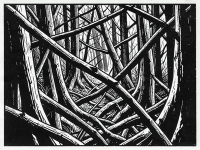 Dense forest interior, twisted branches crossing in violent black contrast