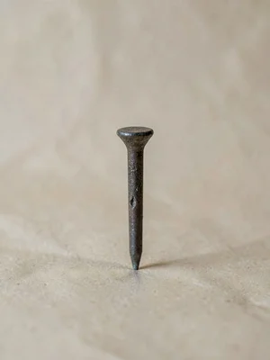 One iron wagon nail standing upright in beige paper, hand-forged head bearing th