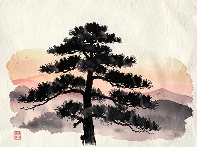 Pine tree silhouette against evening gradient