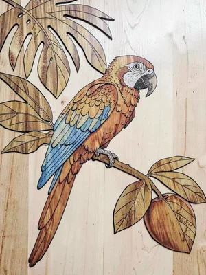 Marquetry tropical parrot