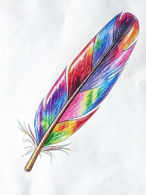 Iridescent bird feather
