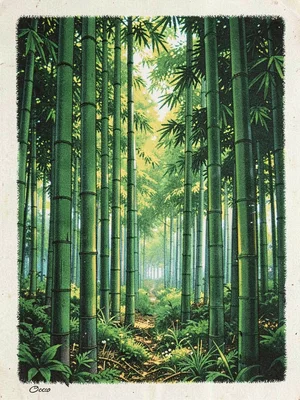 Bamboo forest
