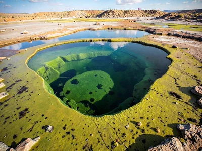 Algae mat creating green zone in gradient