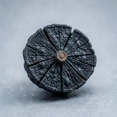 Studio macro of a single black peppercorn cross-section, fissured surface like v