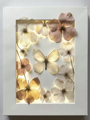 A frame of pressed flowers on glass: backlit so the petals glow like stained gla
