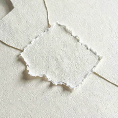 Paper macro of a torn deckle edge across cream cardstock, soft hairline shadow b