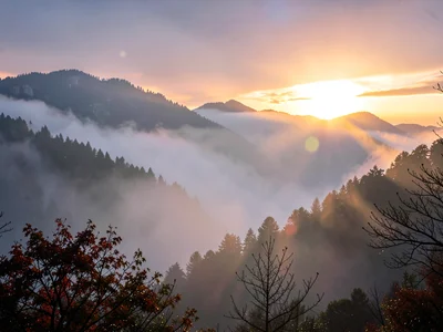 Fog phenomena at sunrise